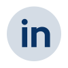 LinkedIn logo button