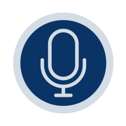 Speech-input page, where users can give spoken instructions to refine their requests or search for information online.